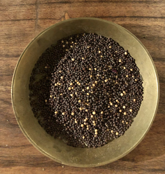 Mustard Seeds (Eye of Newt)