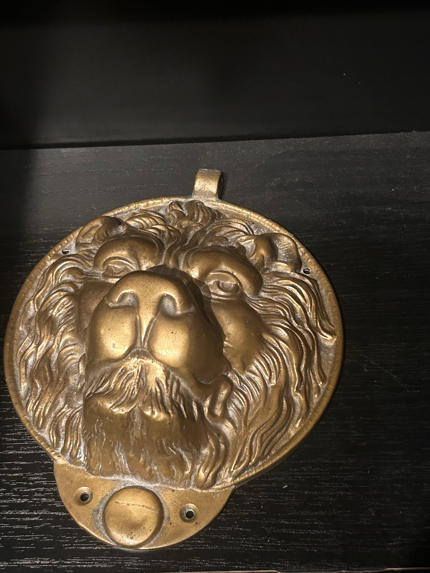 Brass Lion Hanging