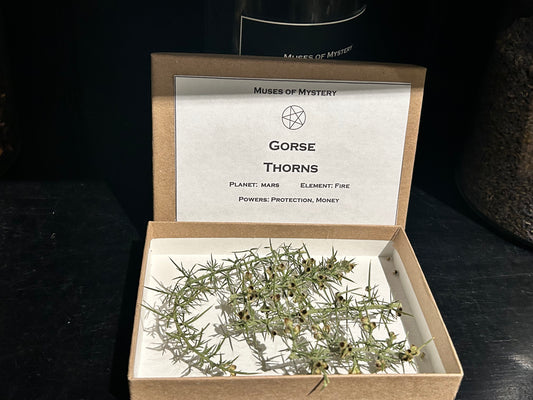 Gorse Thorns Box