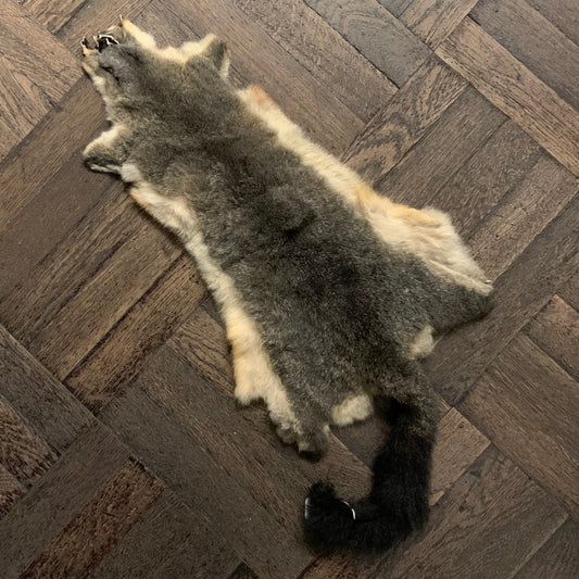 Possum Fur - New Zealand