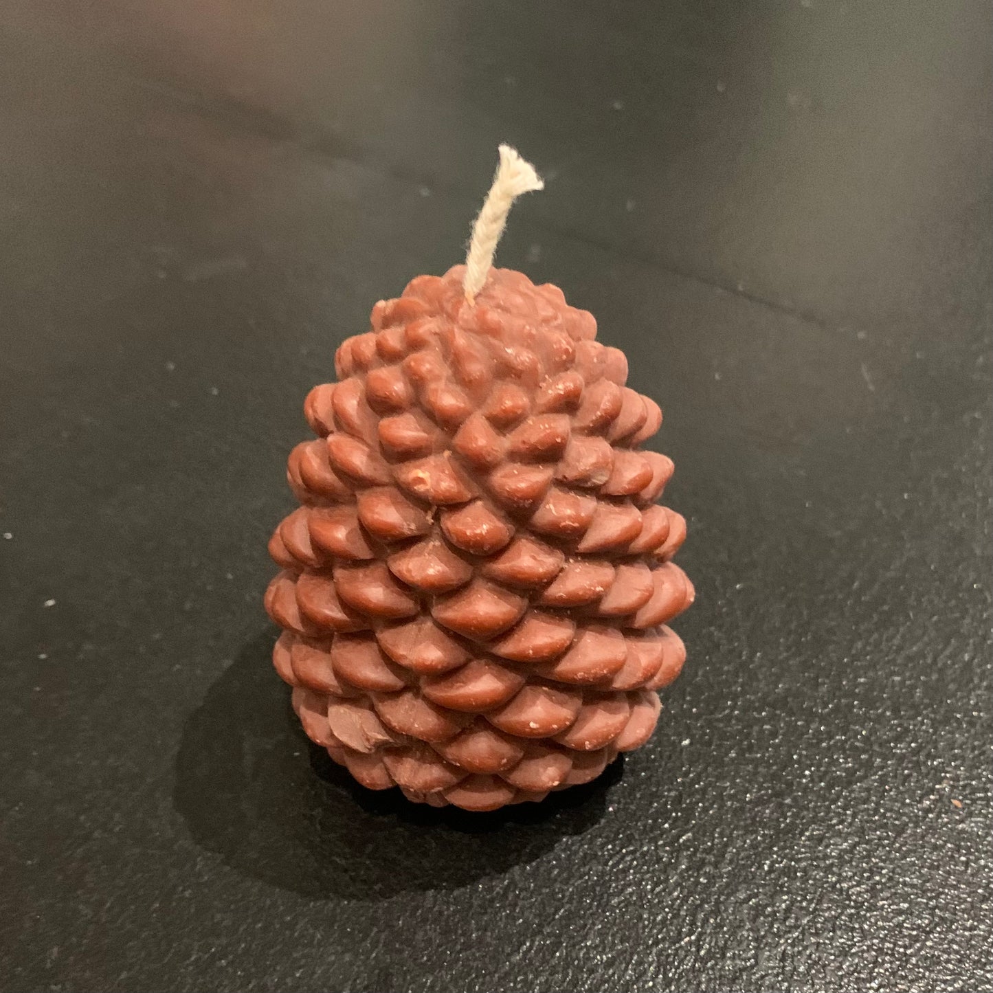 Pine Cone Candle by Eldertree Apothecary