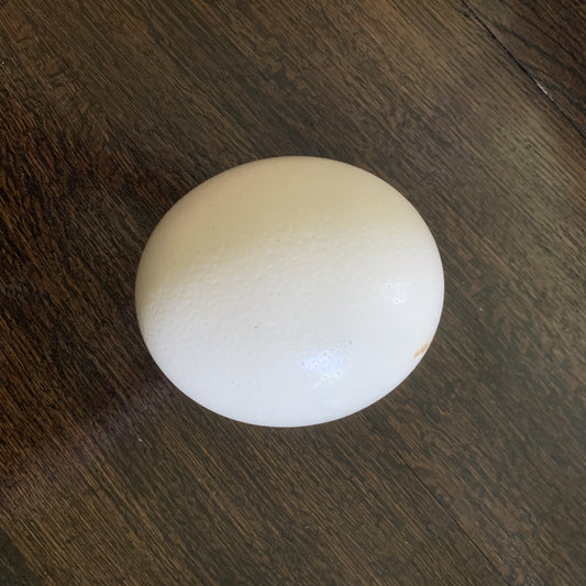 Ostrich Egg with Pillow - White