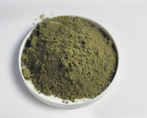 Graviola Leaf Powder/ Soursop